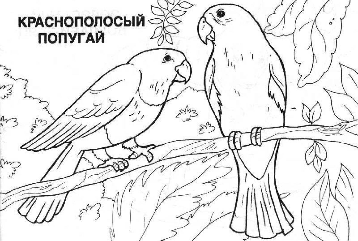 Glowing animals from the red book coloring page