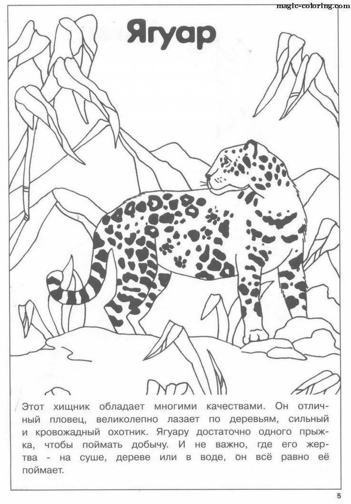 Blissful animals from the red book coloring page