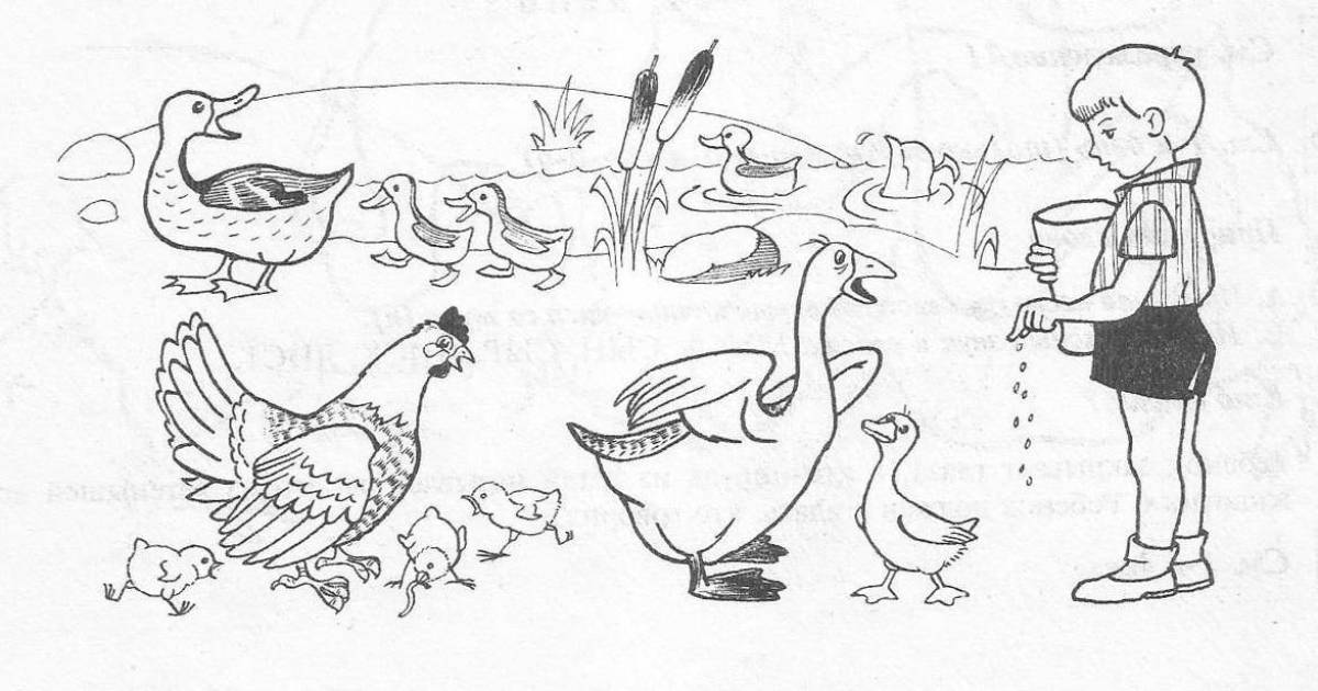Playful bird coloring page for babies