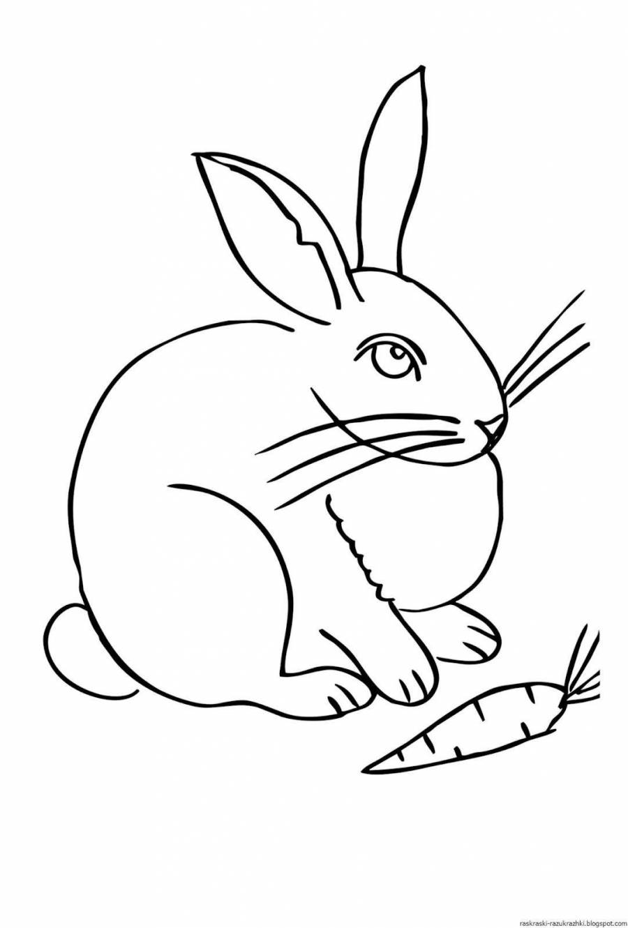 Заяц с морковкой раскраска