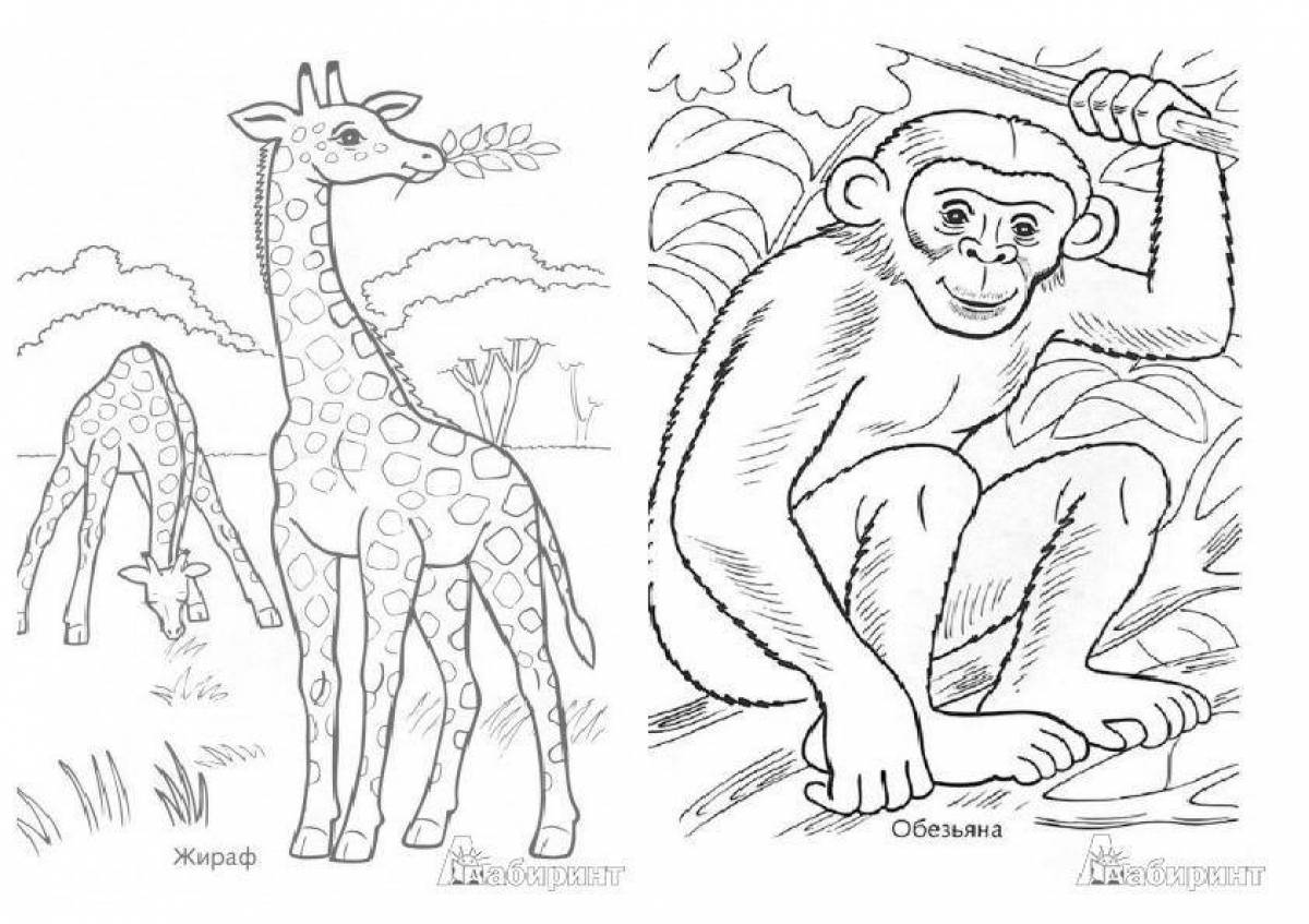 Рисунки животные жарких стран для дошкольников