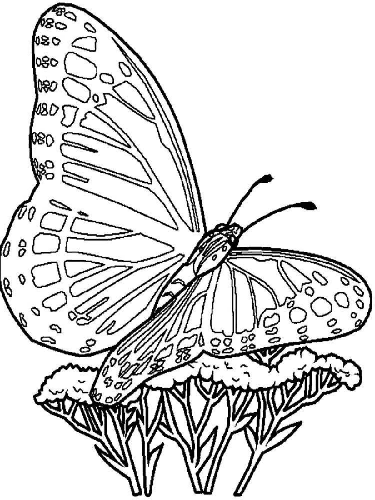 Adorable butterfly coloring pages for girls