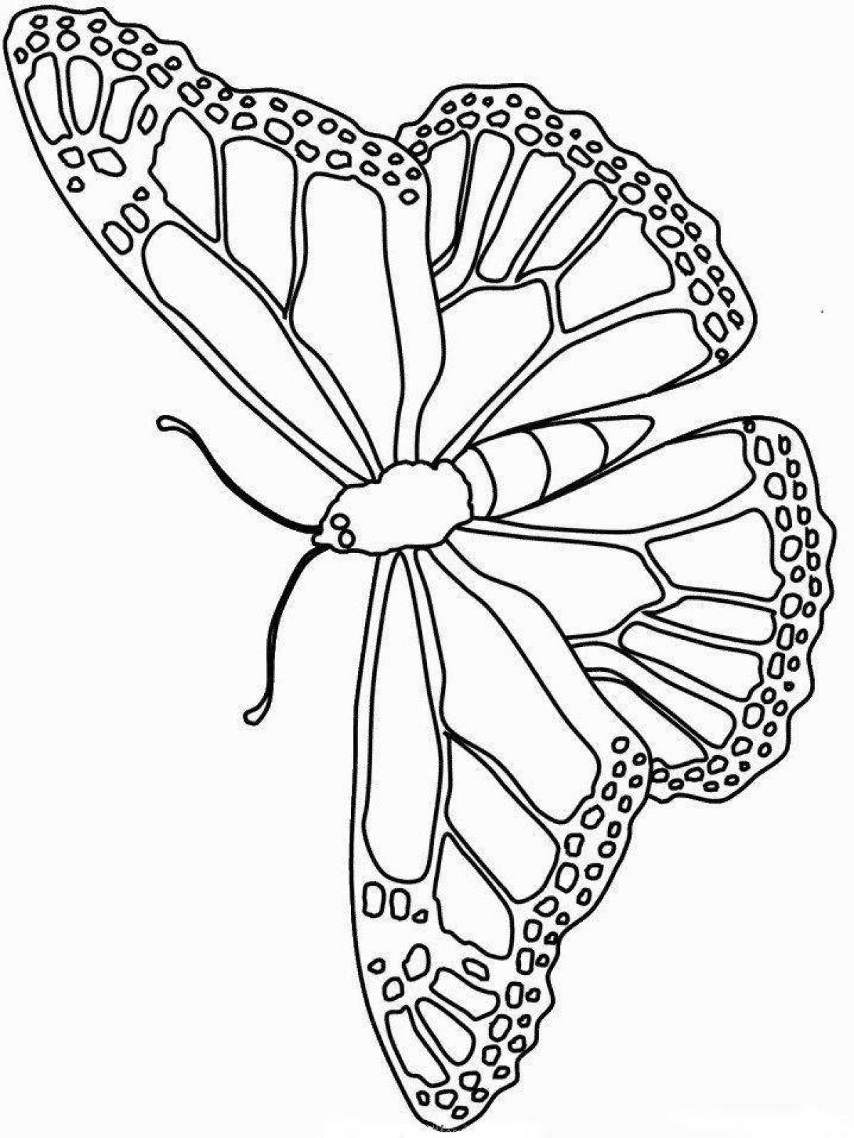 Amazing Butterfly Coloring Pages for Girls