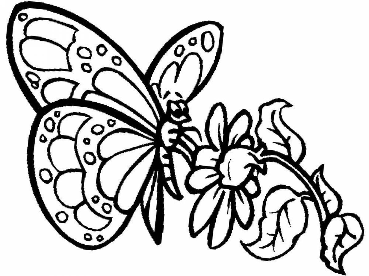 Elegant butterfly coloring book for girls