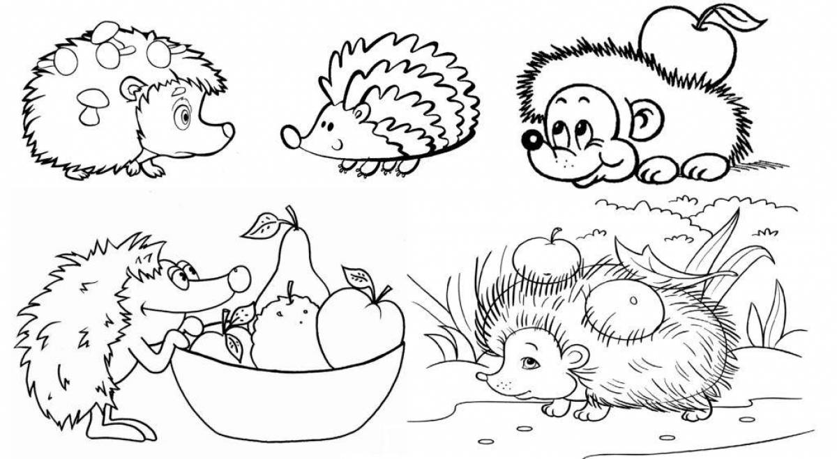 Wonderful hedgehog coloring book for kids