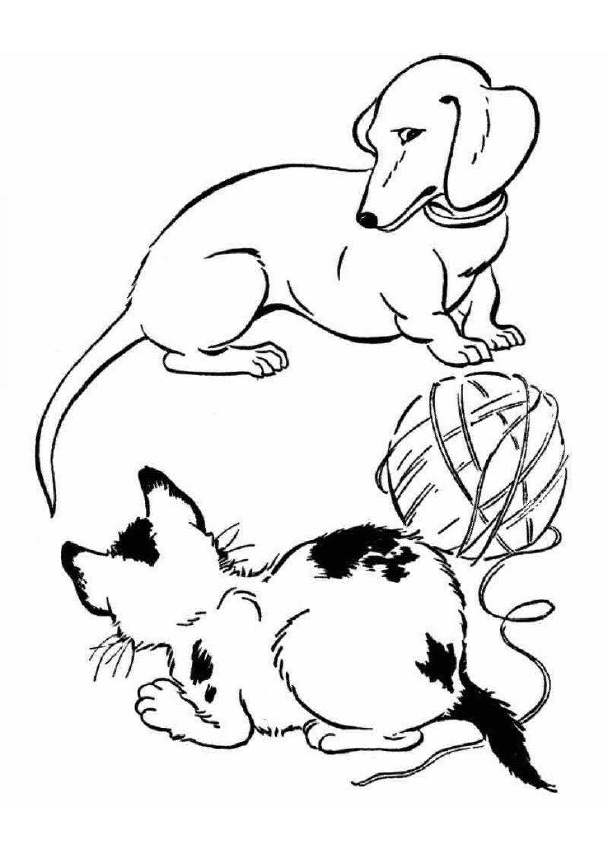 Colorful coloring pages animals cats and dogs