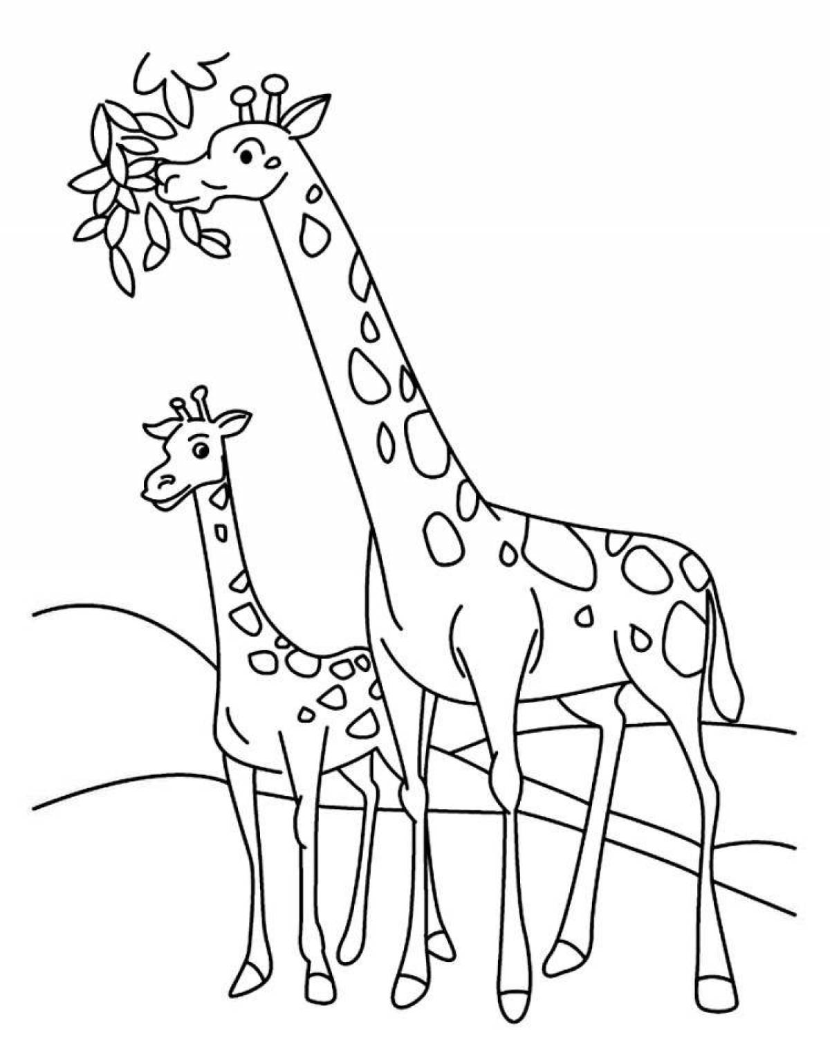 Funny giraffe coloring for children 3-4 years old
