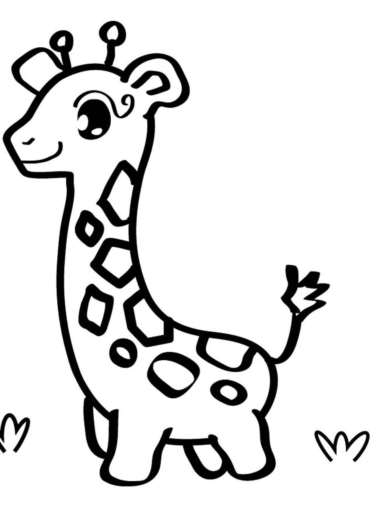 Fabulous coloring giraffe for children 3-4 years old
