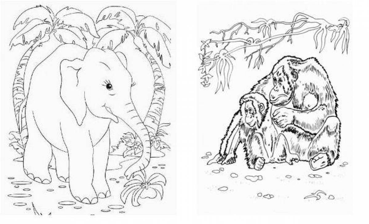 Charming coloring animals of hot countries for children 5-7 years old