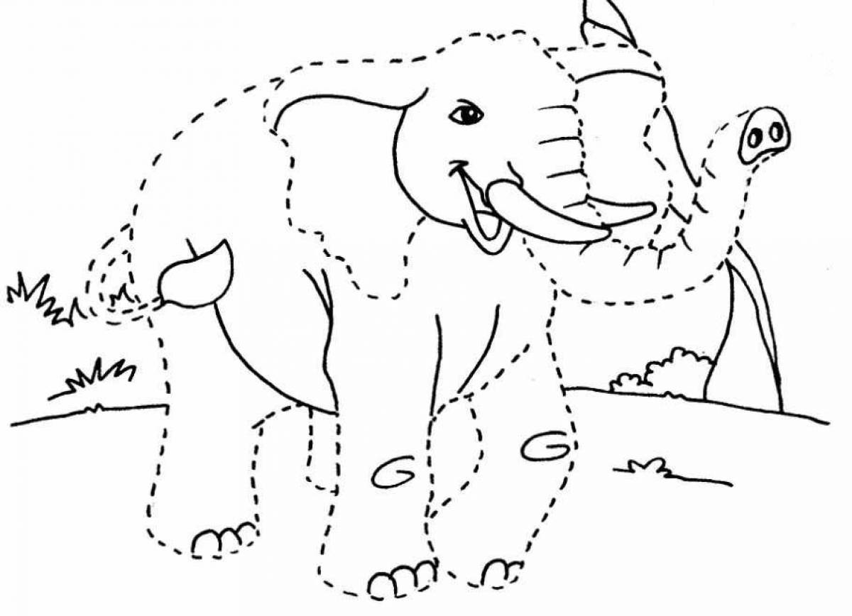 Attractive coloring pages animals of hot countries for children 5-7 years old