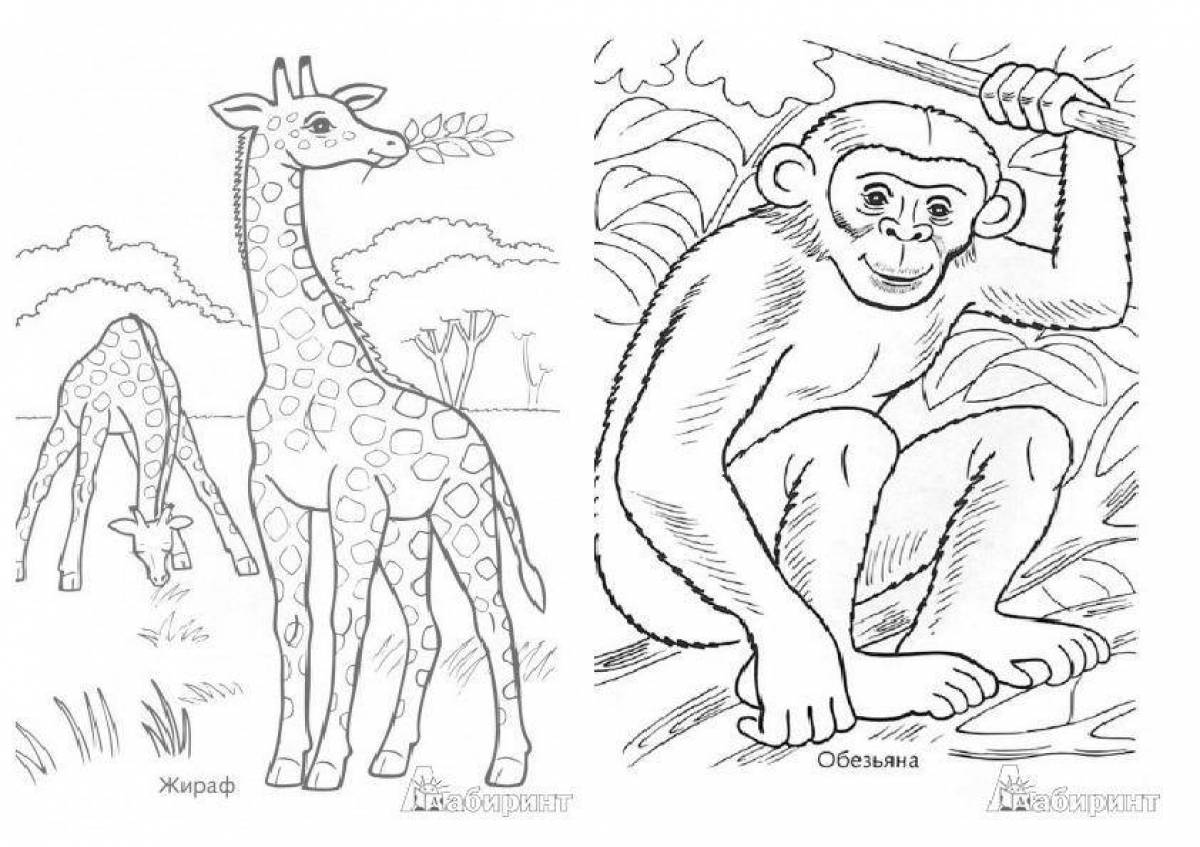 Witty coloring pages animals of hot countries for children 5-7 years old