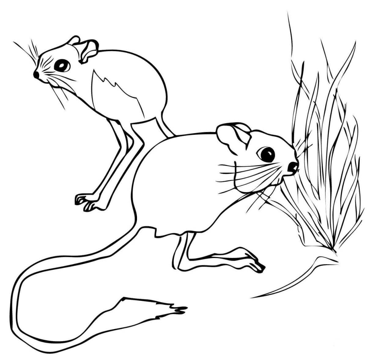 Colorful jerboa coloring page