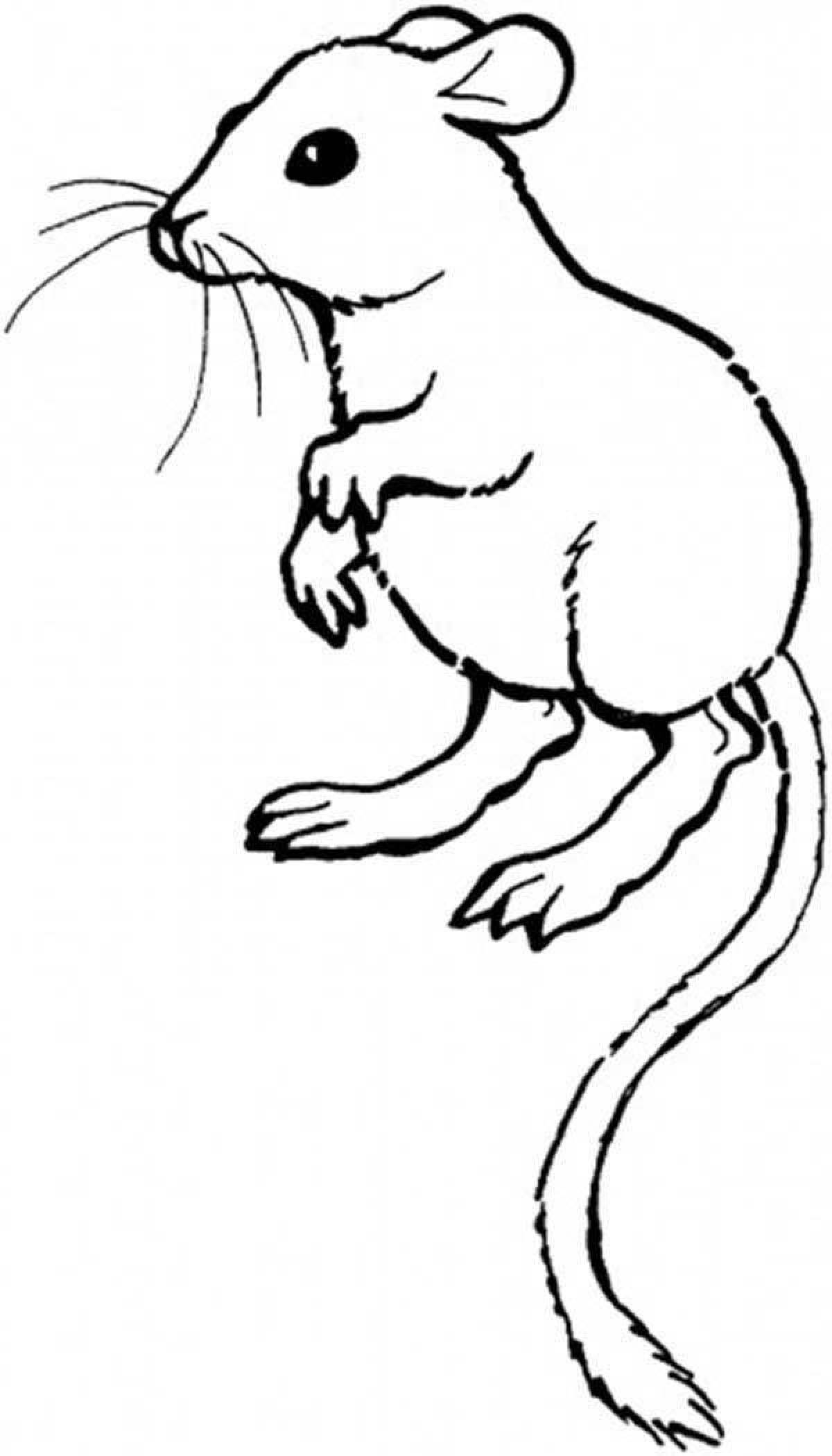 Coloring page playful jerboa