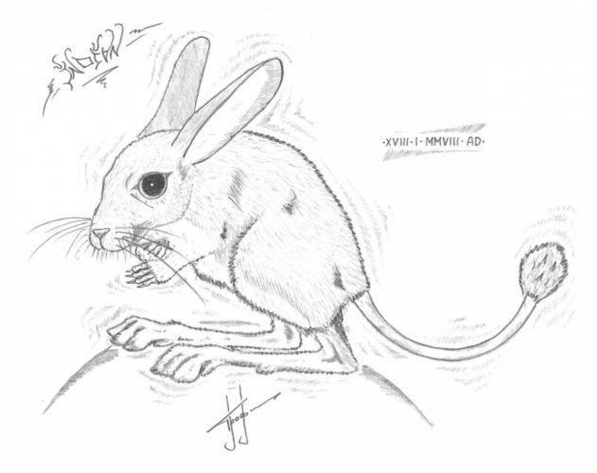 Coloring page cheerful jerboa