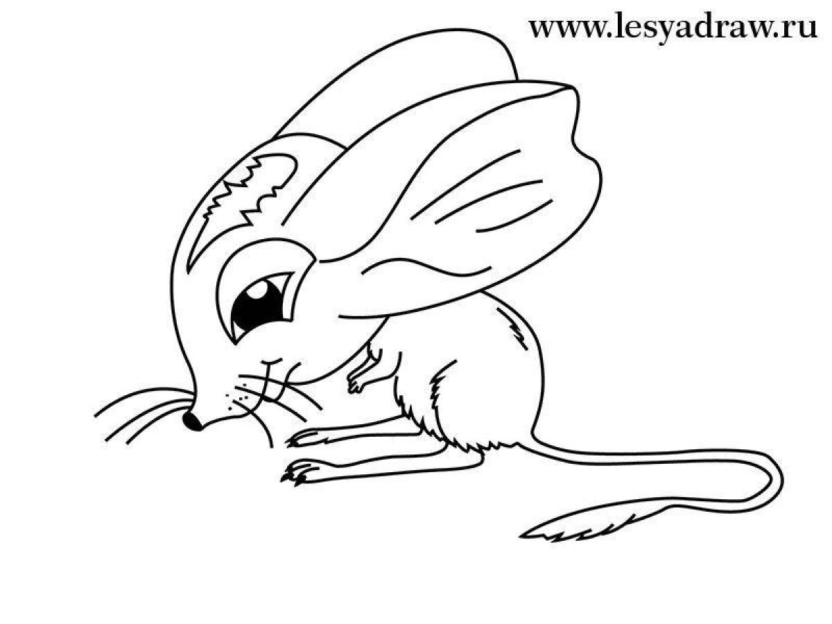 Jerboa funny coloring book