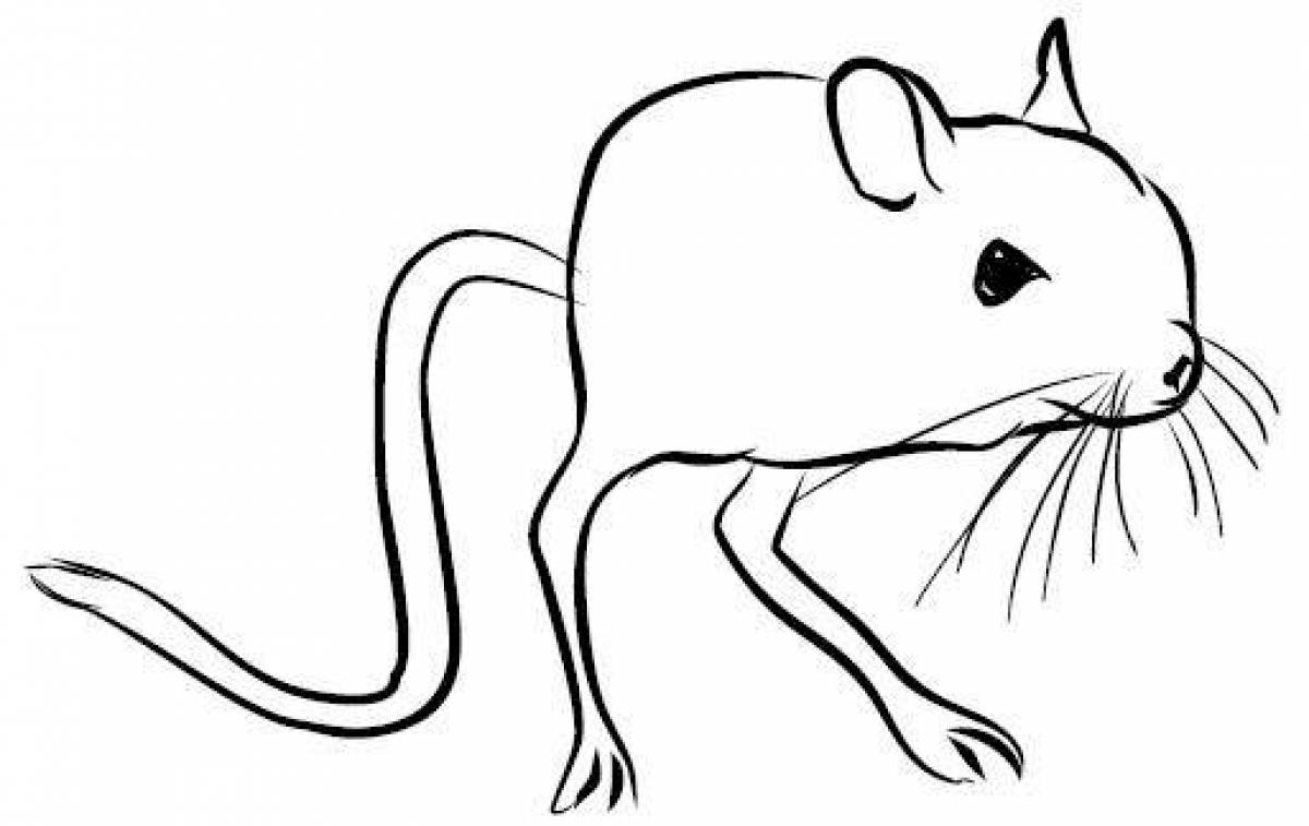 Gorgeous jerboa coloring page
