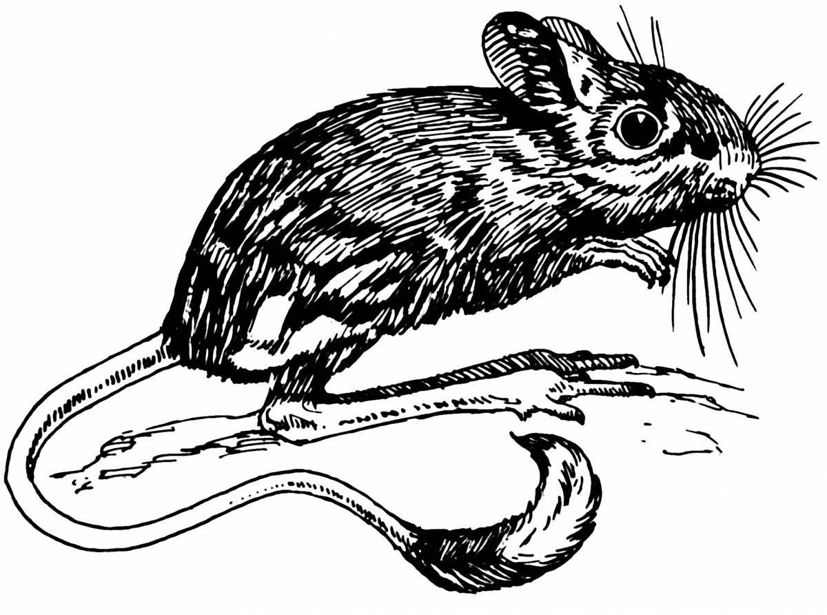 Large jerboa coloring page