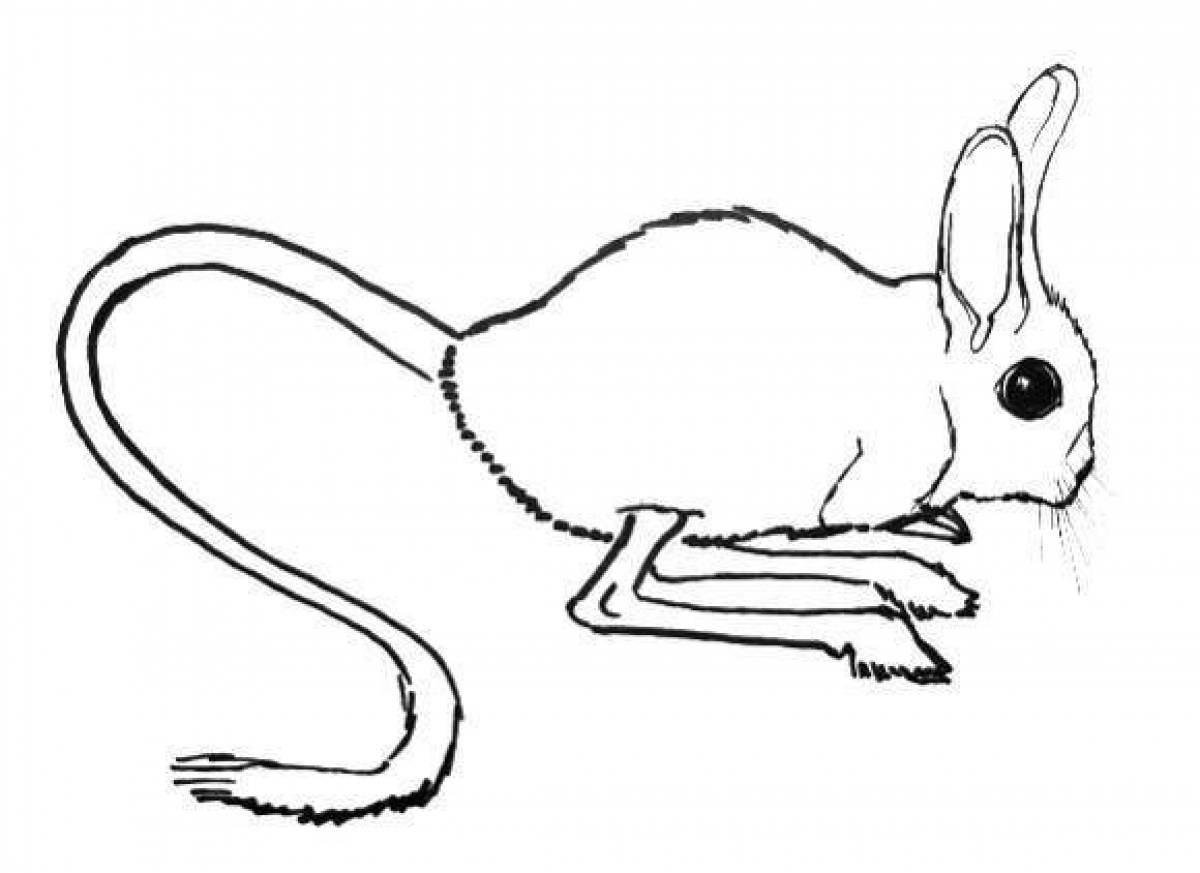 Coloring page wonderful jerboa