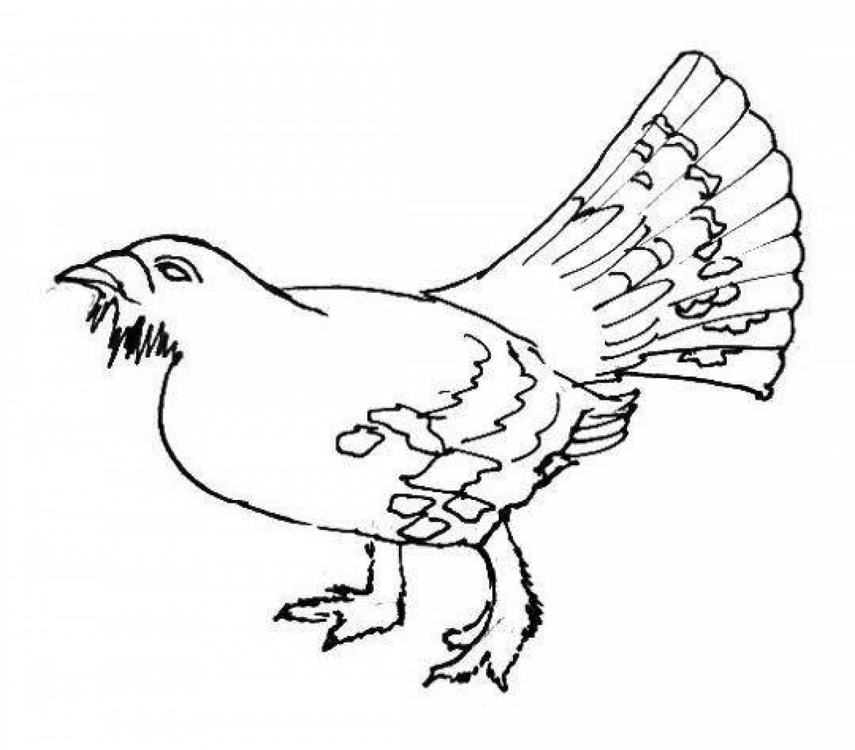 Awesome capercaillie coloring page