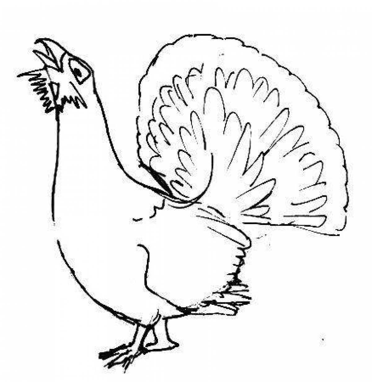Delightful capercaillie coloring page