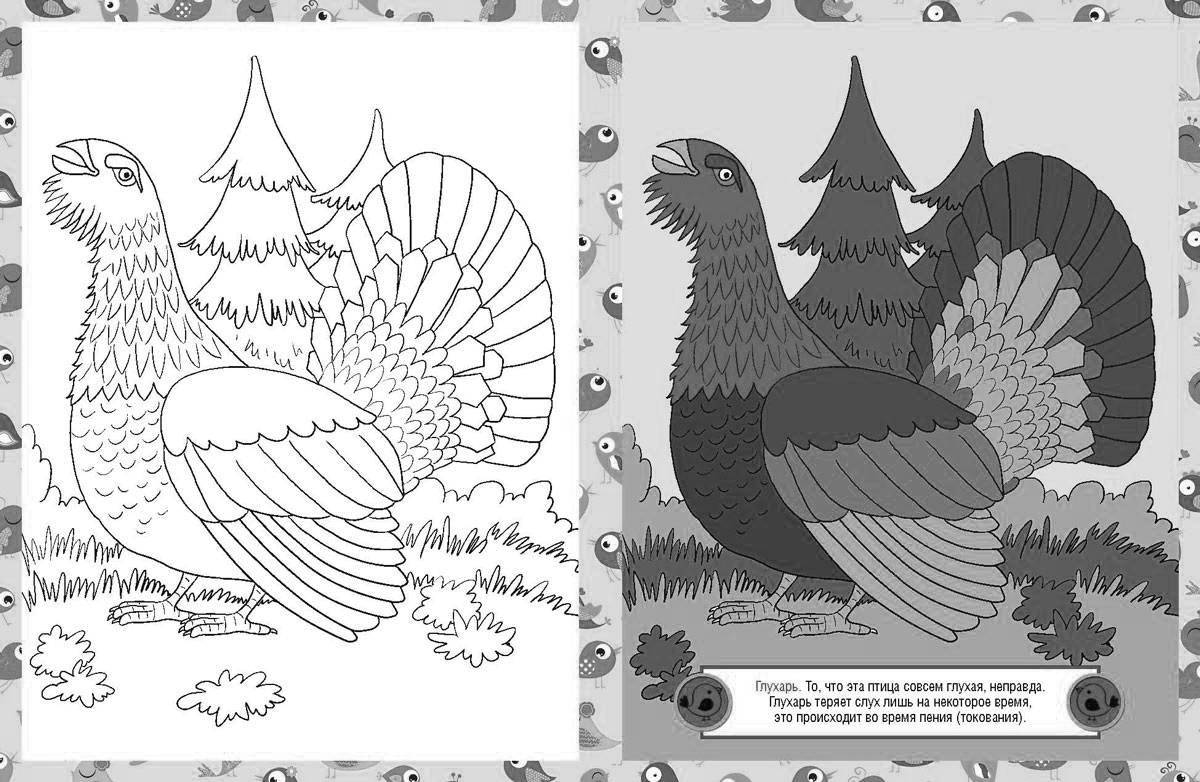 Coloring Capercaillie Coloring Page
