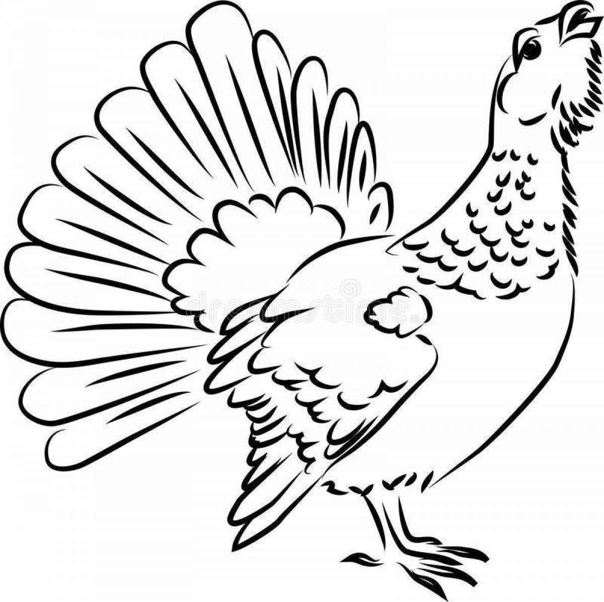 Animated capercaillie coloring page
