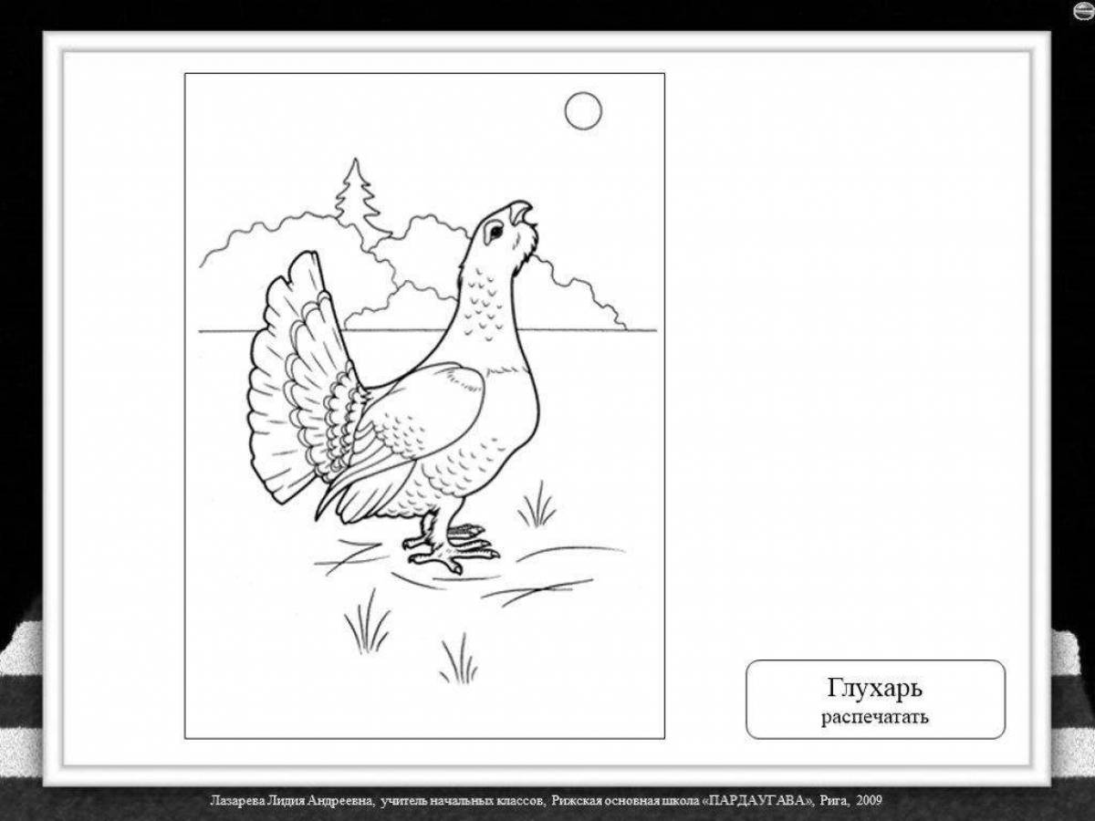 Coloring book dazzling capercaillie