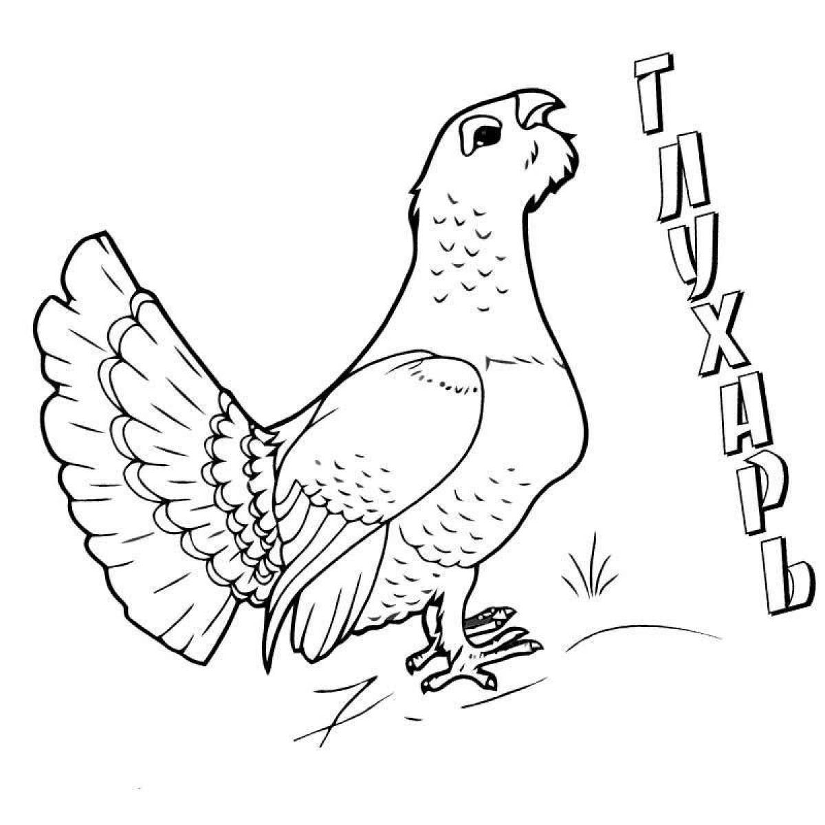 Royal capercaillie coloring page