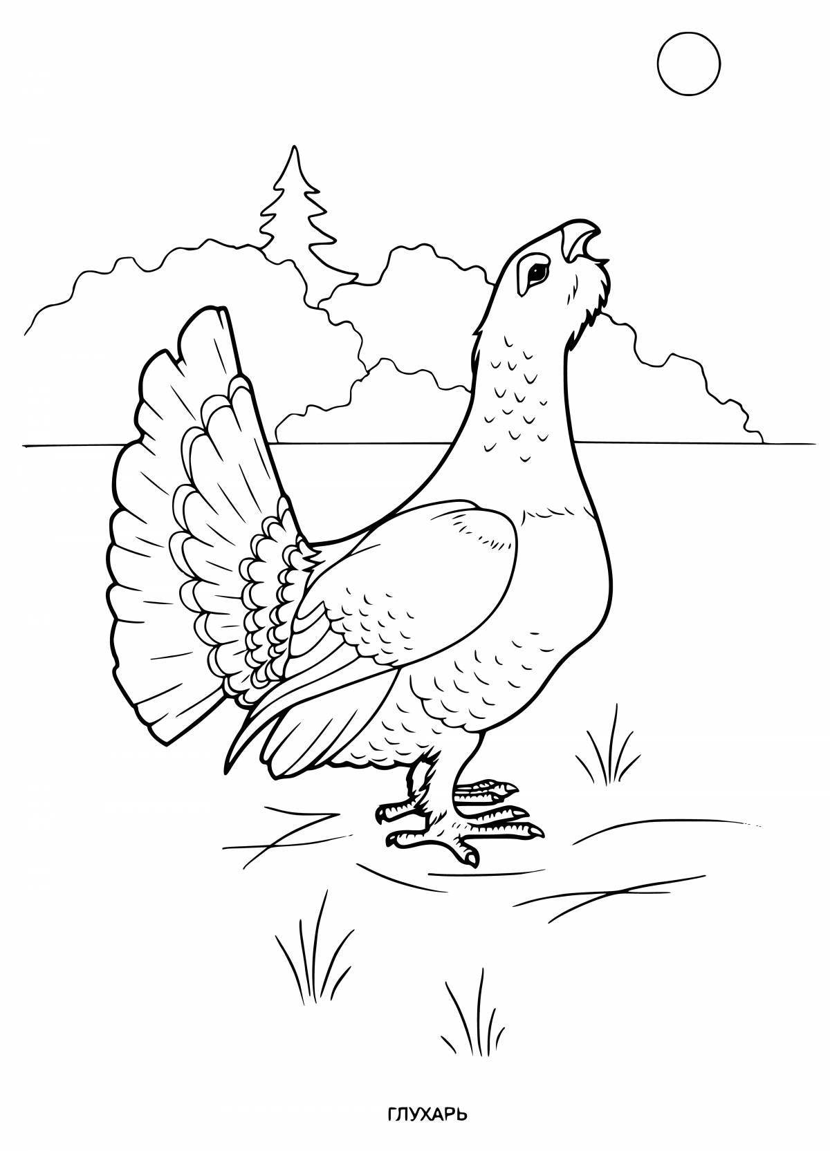 Coloring exotic capercaillie