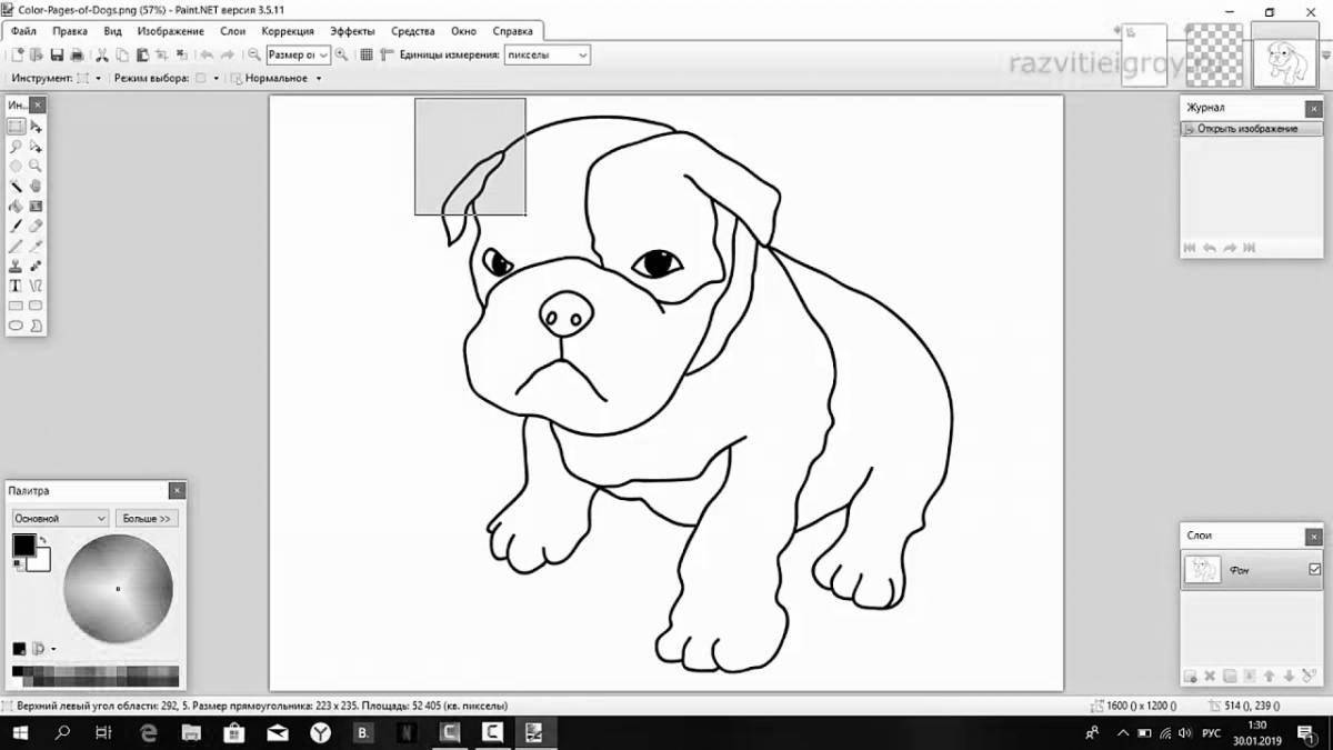 Colorful coloring page create a coloring page
