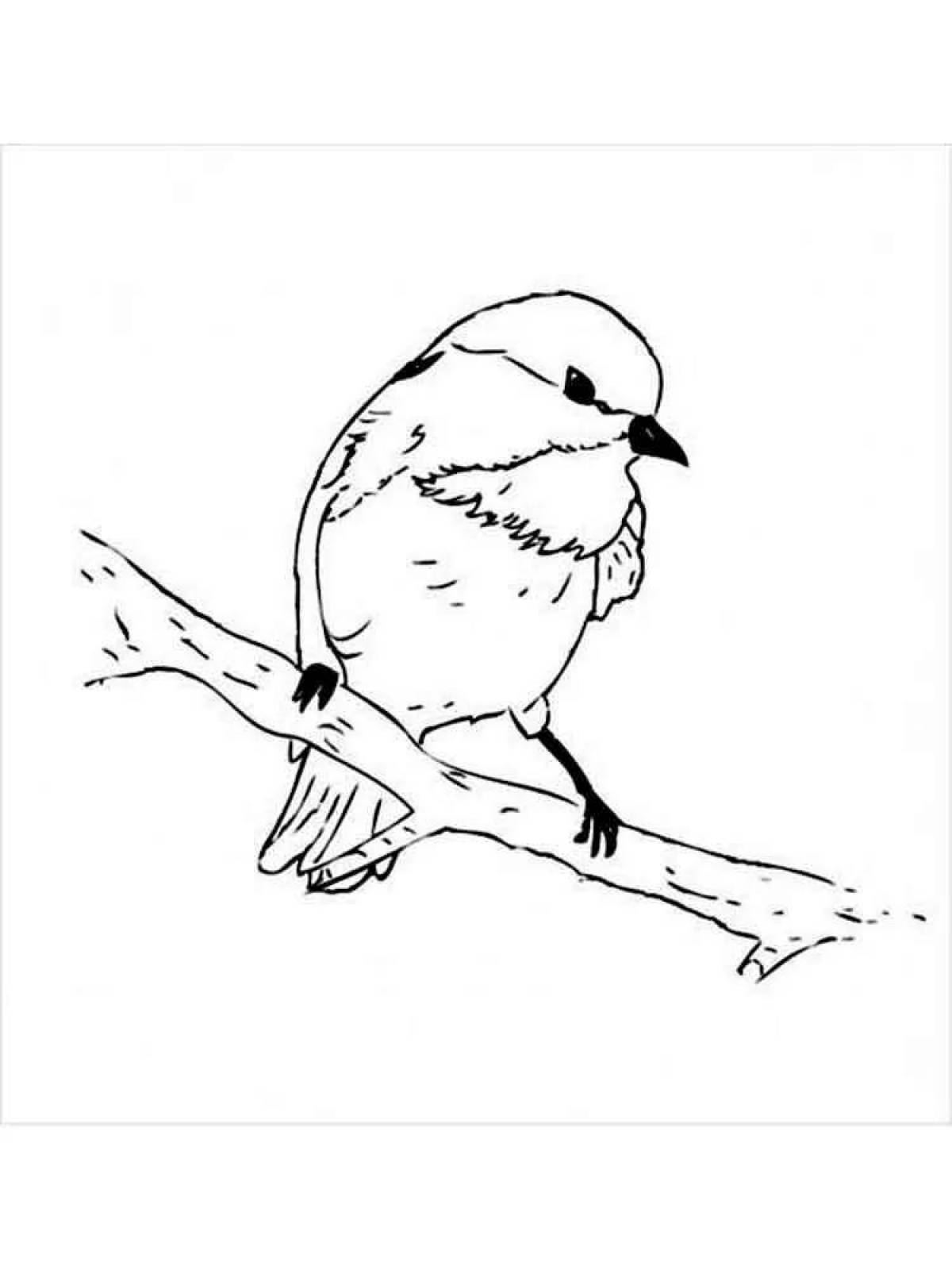 Elegant drawing of a bullfinch