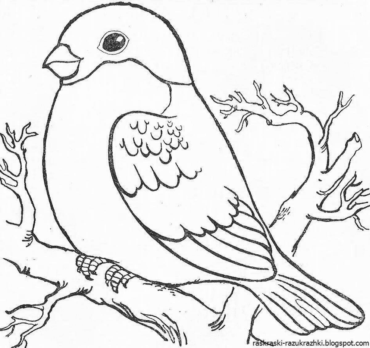 Creative drawing of a bullfinch