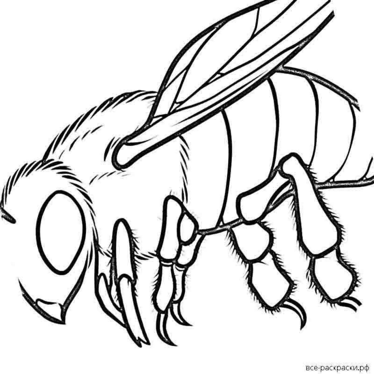 Coloring page nice lady bee