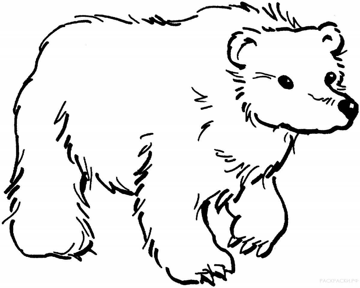 Симпатичная раскраска с изображением медведя
