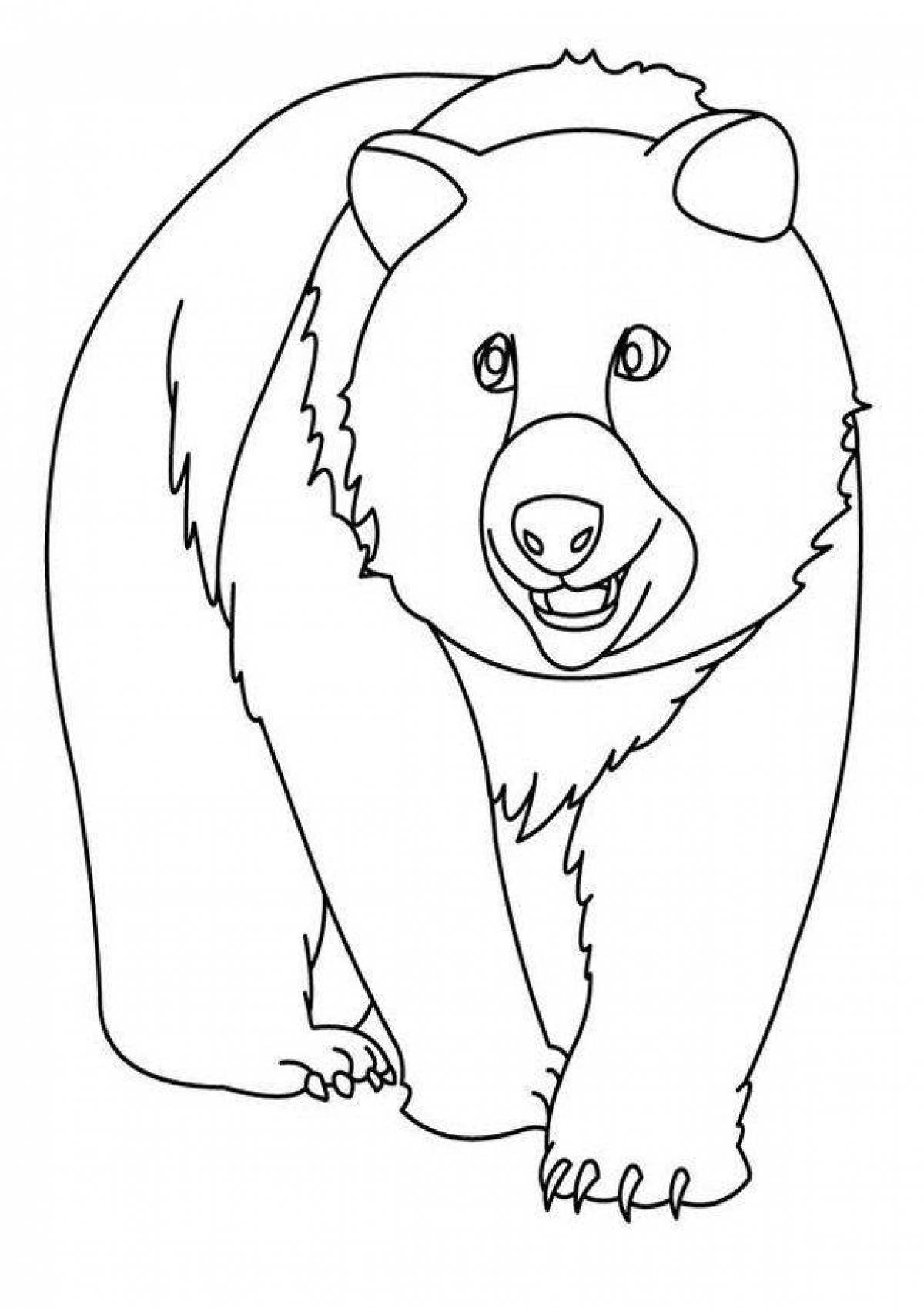 Веселая раскраска медведь