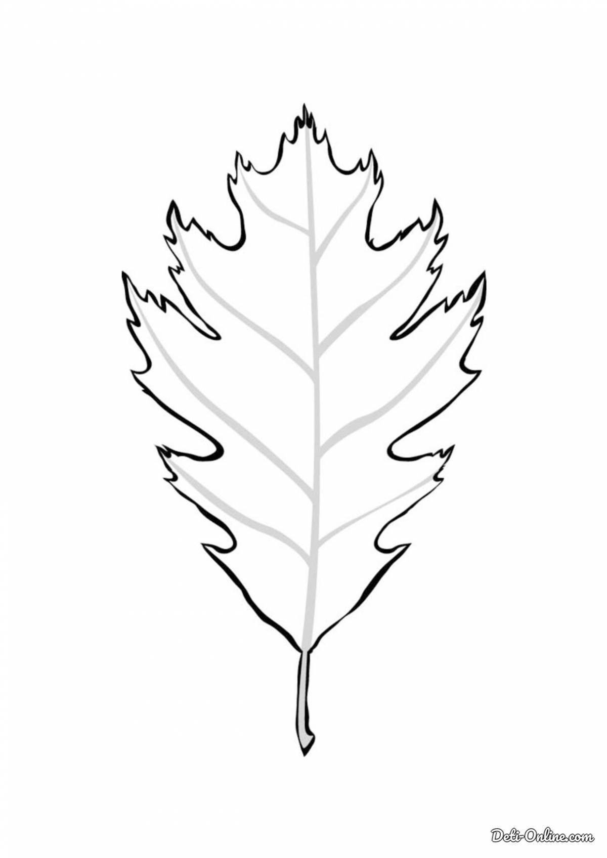 Лист дуба раскраска