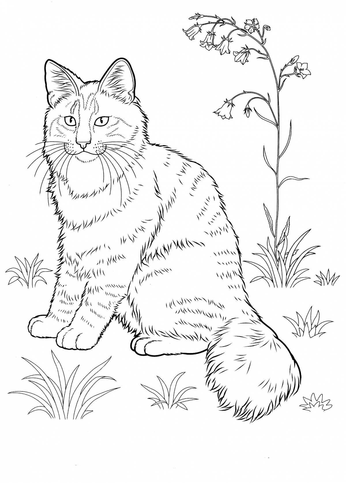 Cunning cat coloring page