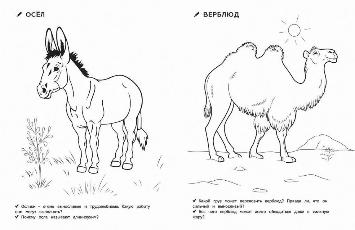 Распечатать картинки с названиями. Домашние животные раскраска для детей. Раскраски домашних животных для малышей. Дикие и домашние животные раскраска. Раскраски диких и домашних животных для детей.