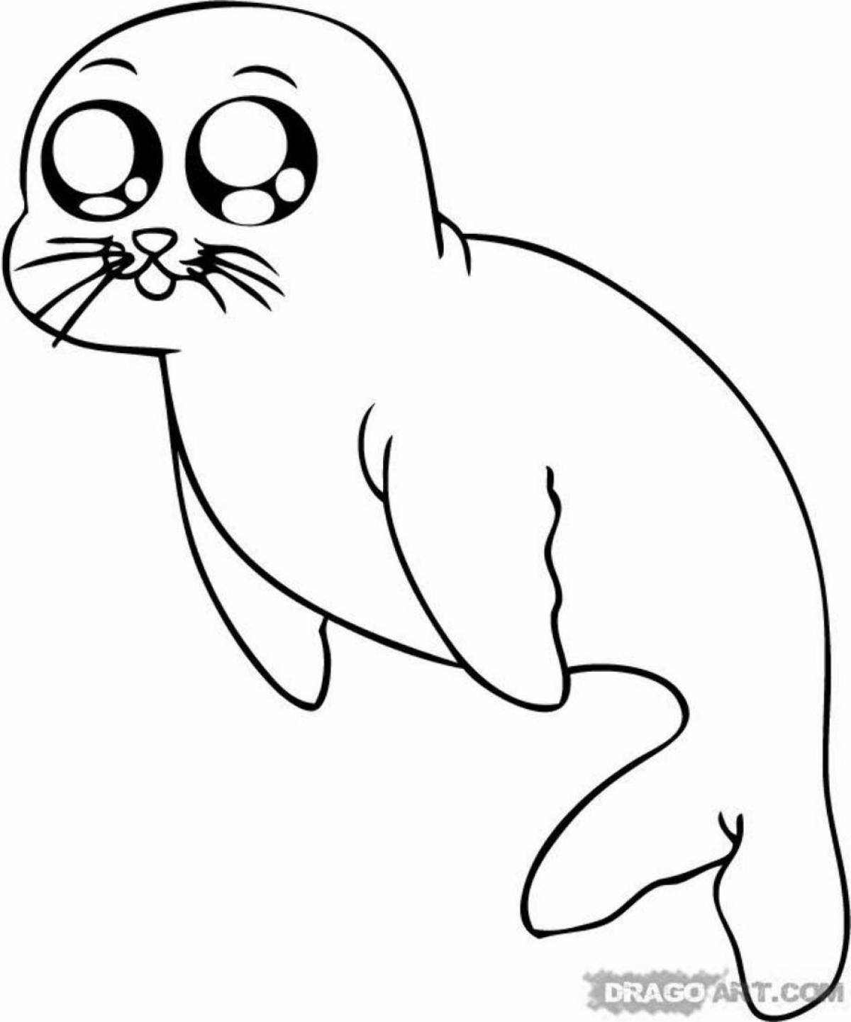 Морской котик раскраска для детей