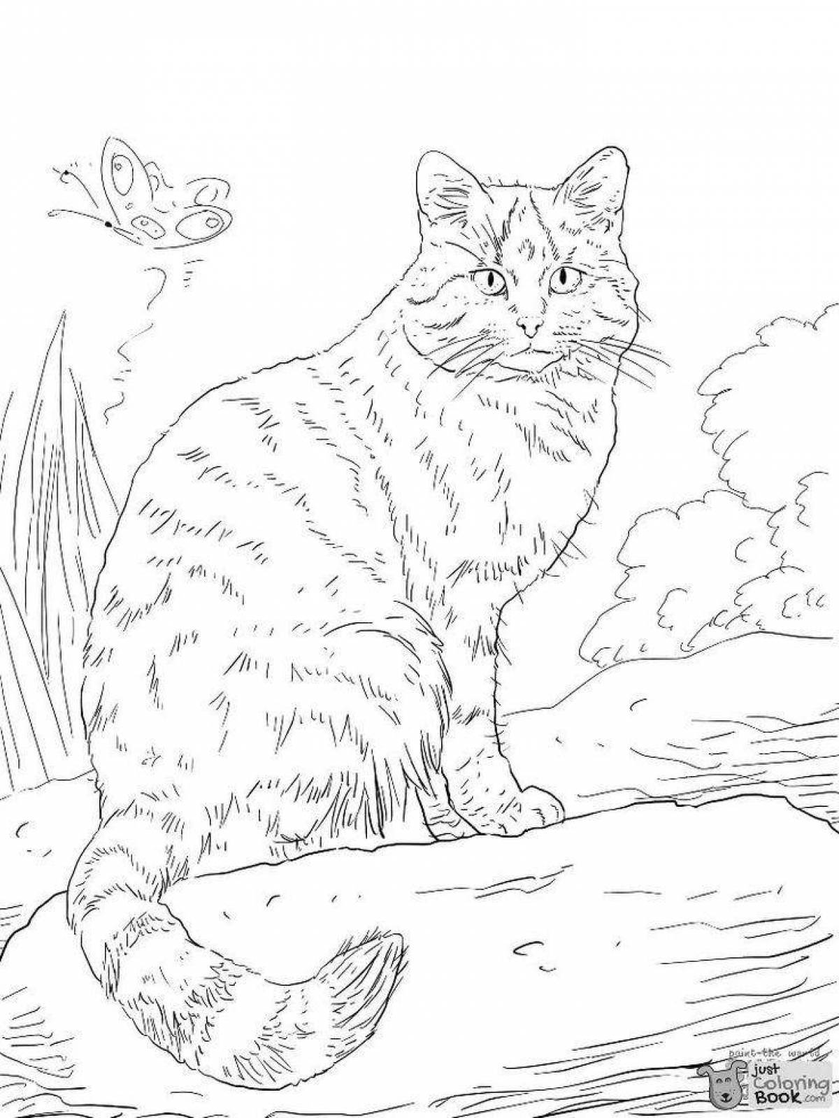 Лесной кот раскраска для детей