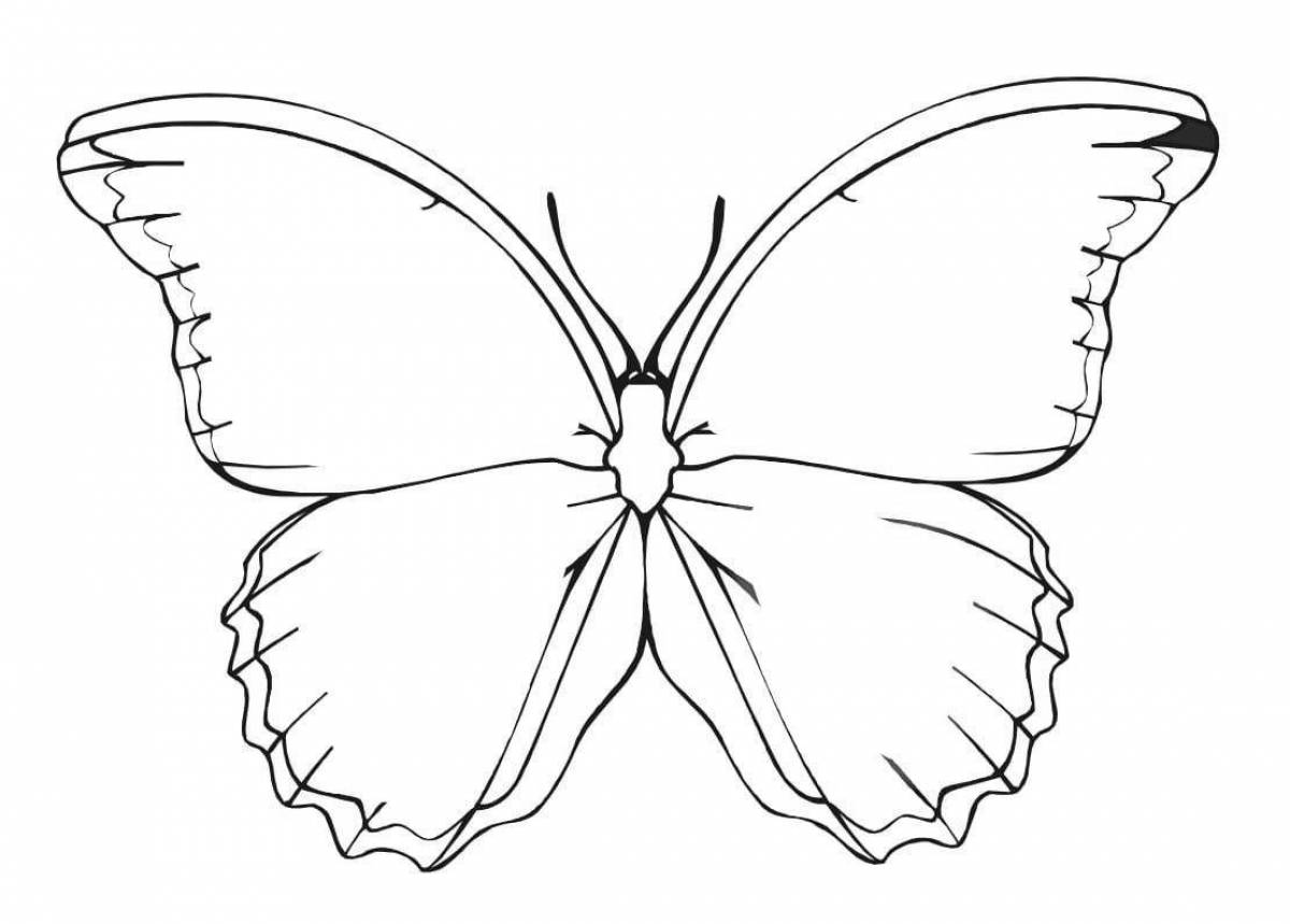 Шаблон бабочек для печати. Раскраска "бабочки". Трафарет бабочки для вырезания. Бабочка для раскрашивания. Бабочка рисунок раскраска.