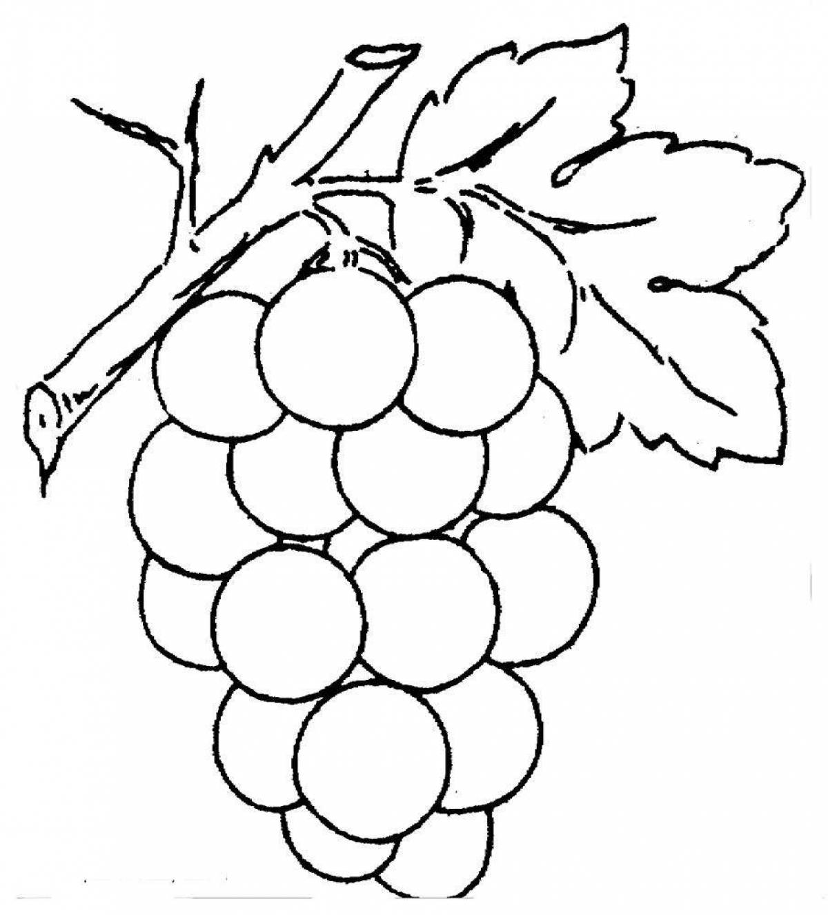 Colorful grape coloring page for kids