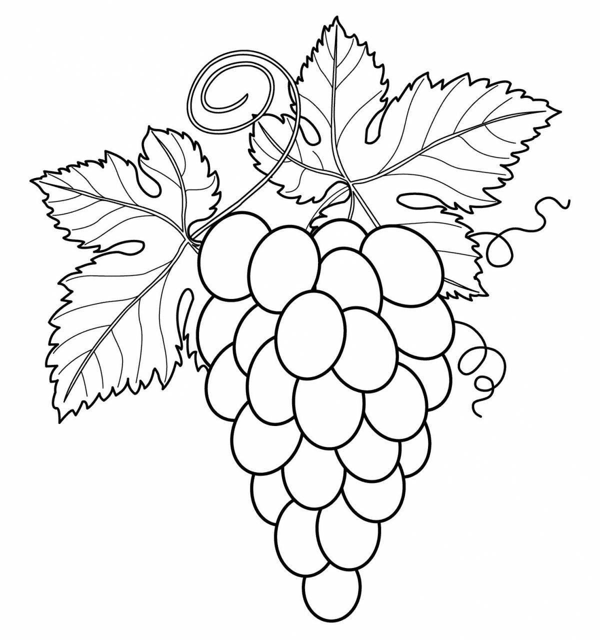 Coloring grapes for kids