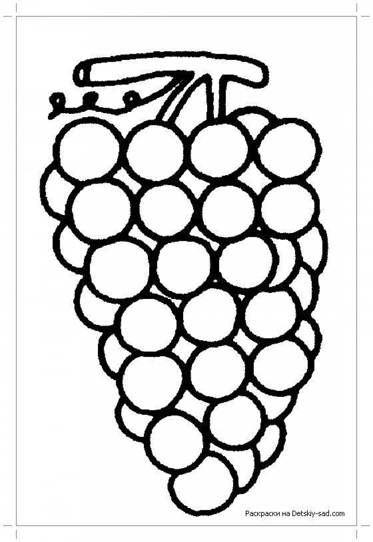 Amazing grape coloring pages for kids