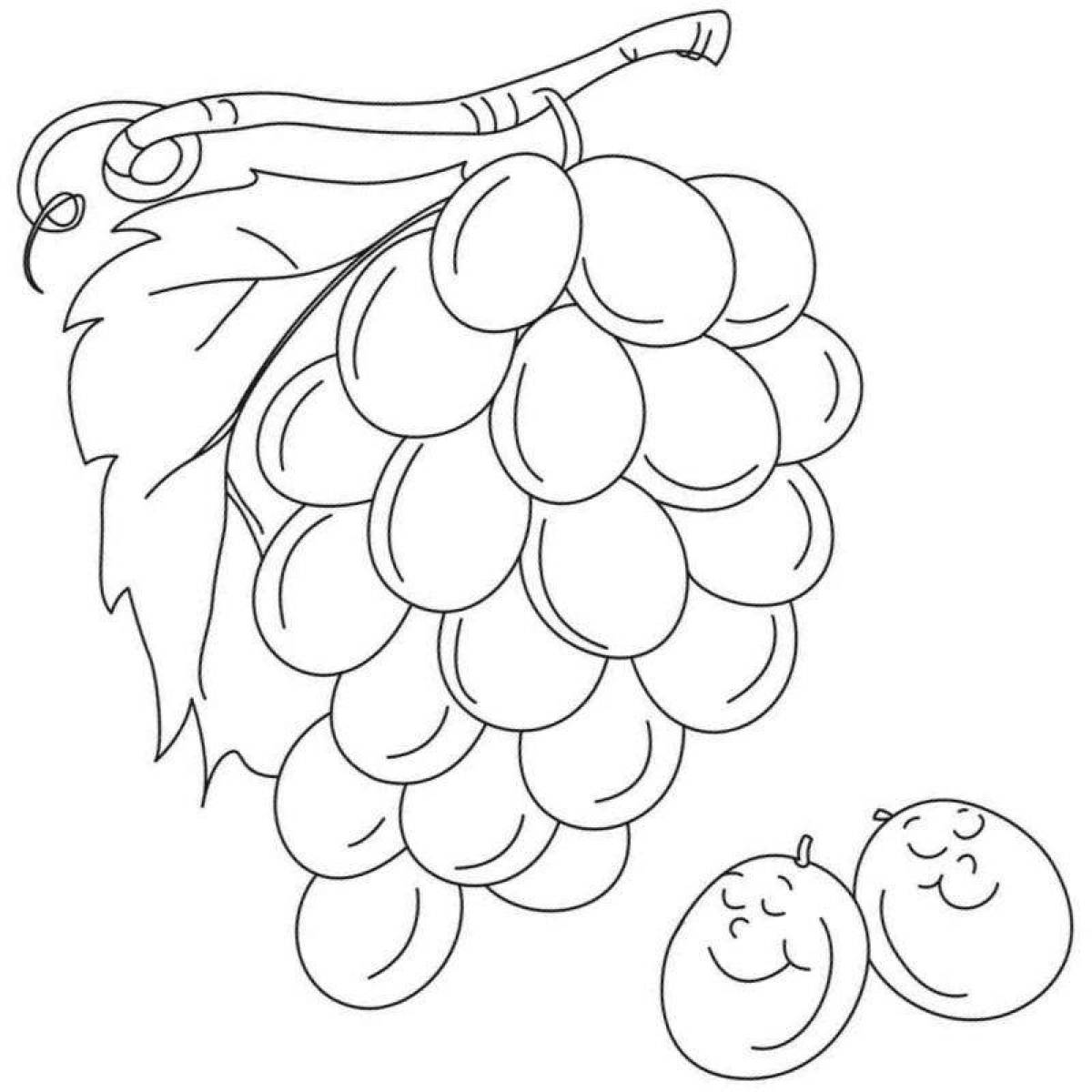 Adorable grape coloring book for kids