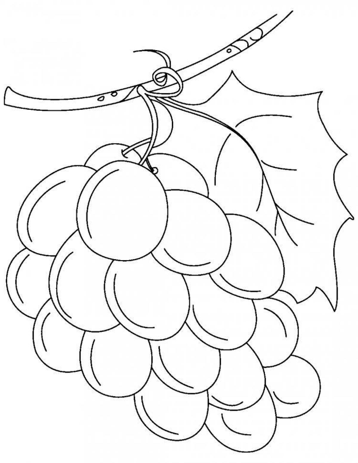 Shining grapes coloring book for kids