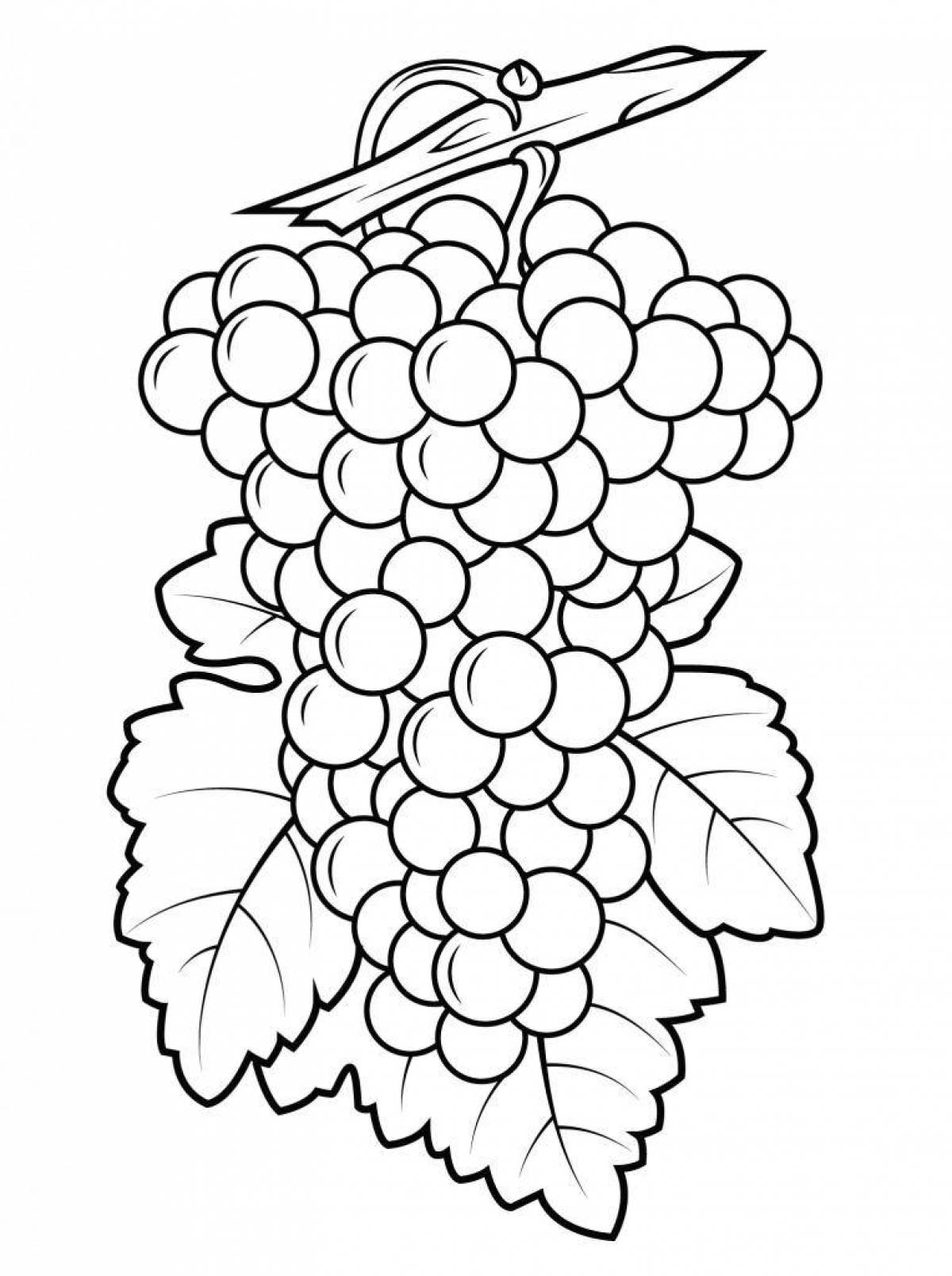 Coloring dazzling grapes for children