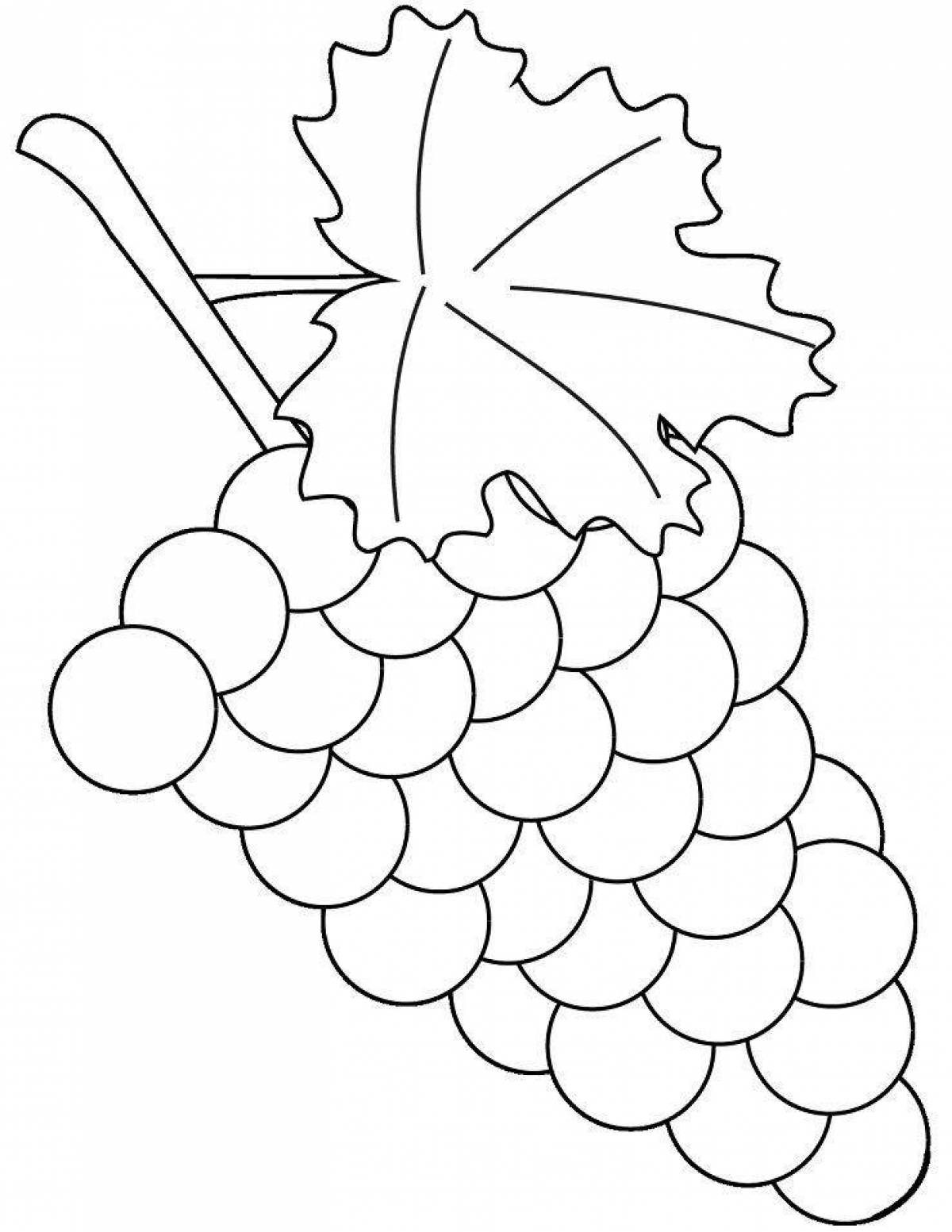 Раскраска сияющий виноград для детей