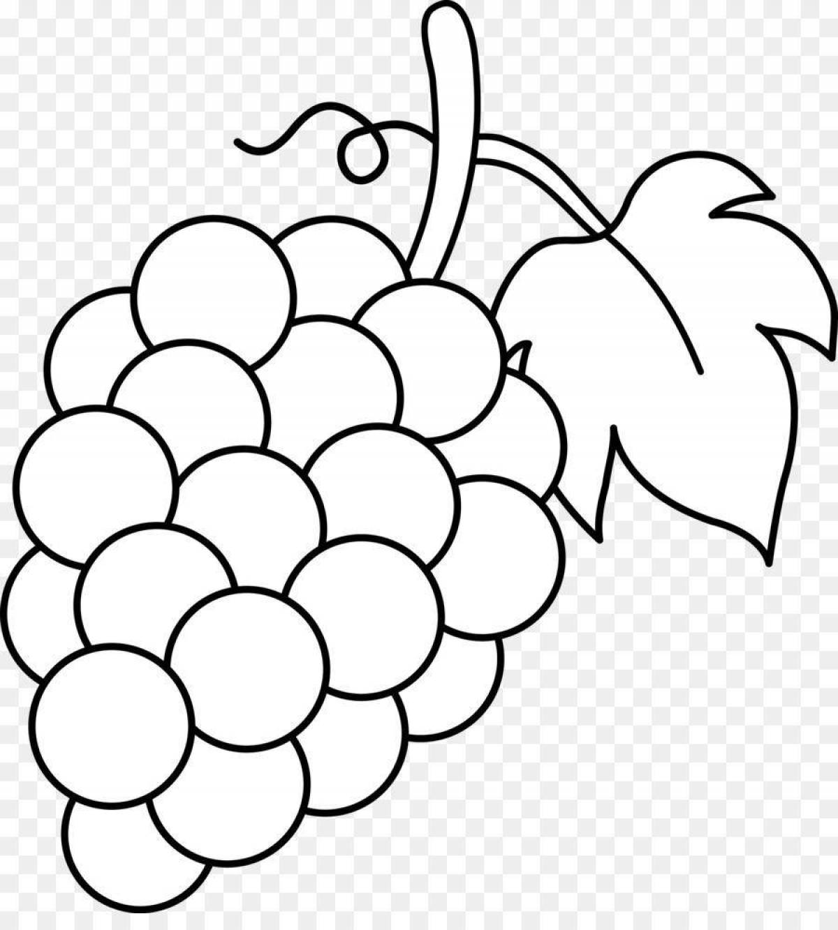 Coloring grapes in bloom for children