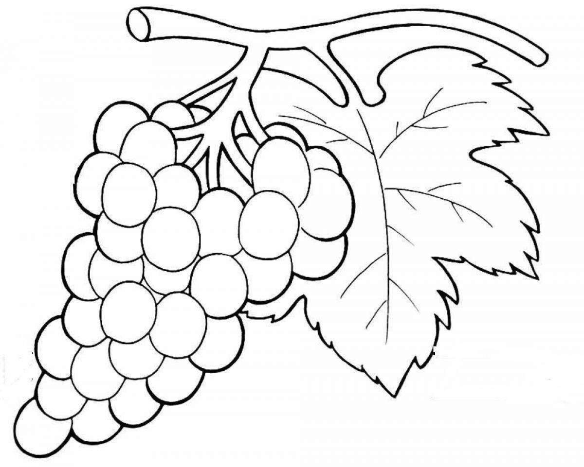 Coloring pages abundance of grapes for children